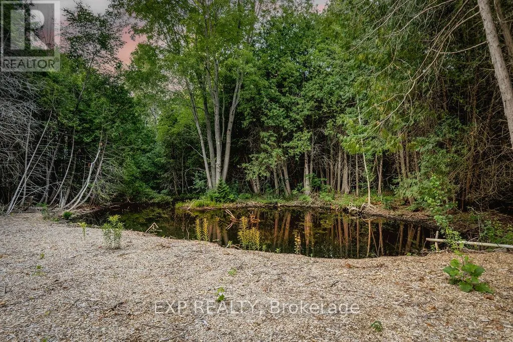 16245 7TH CONCESSION ROAD