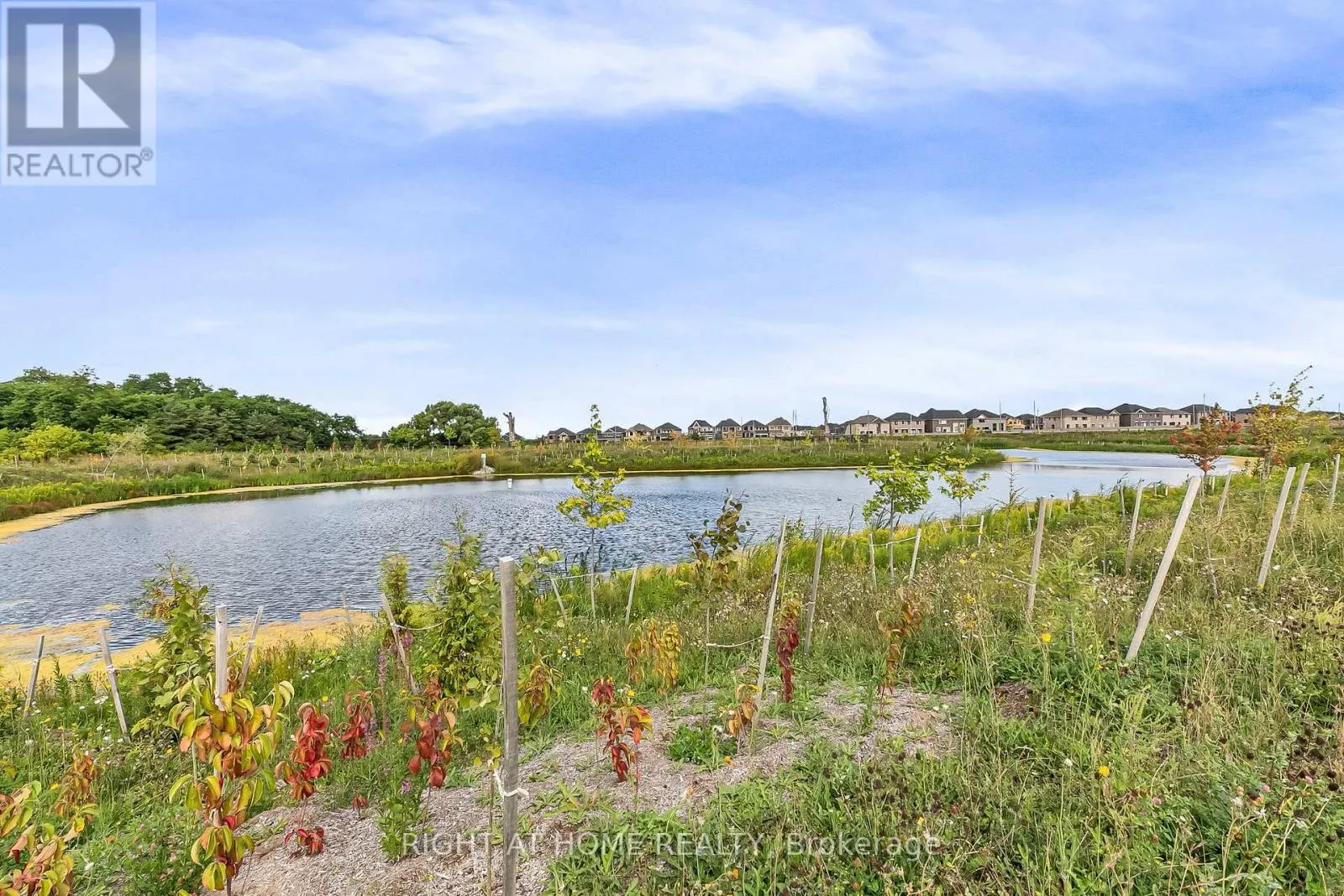 96 MARIGOLD BOULEVARD