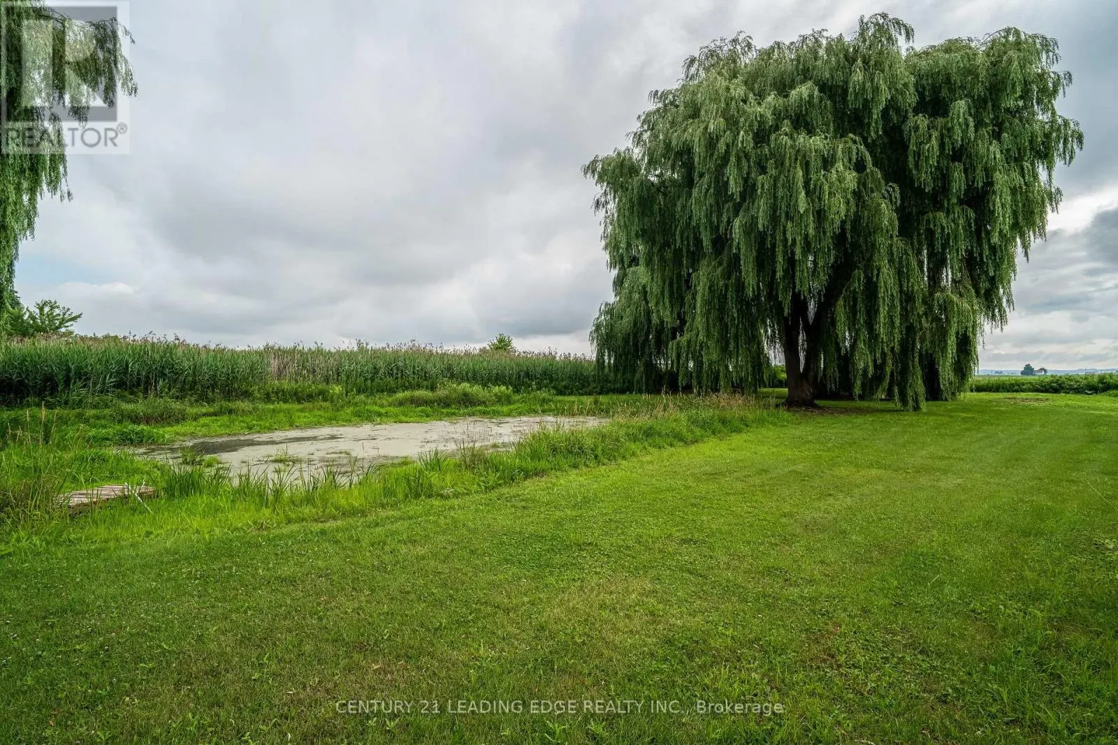 393 CANAL ROAD