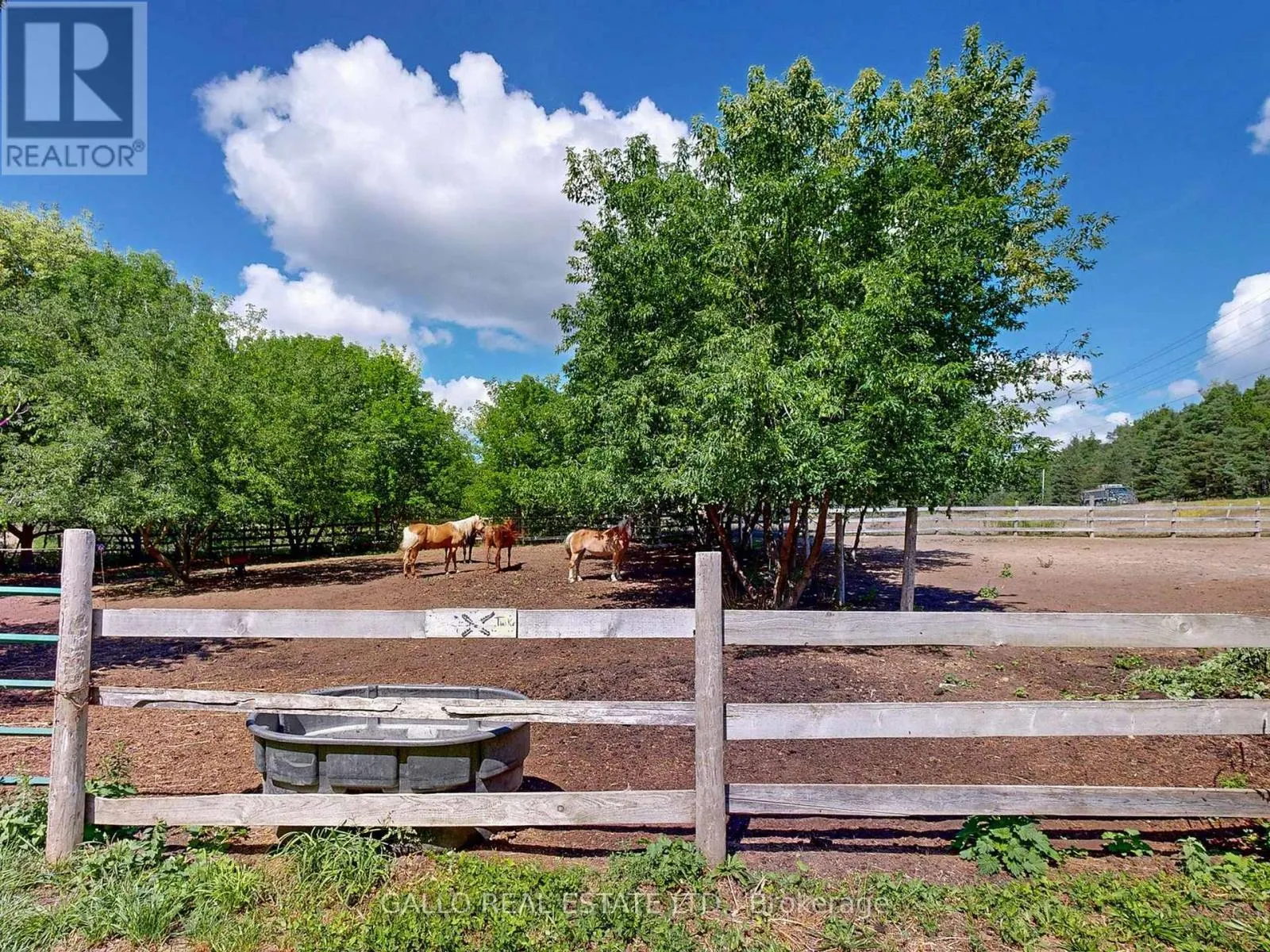 16558 HIGHWAY 48