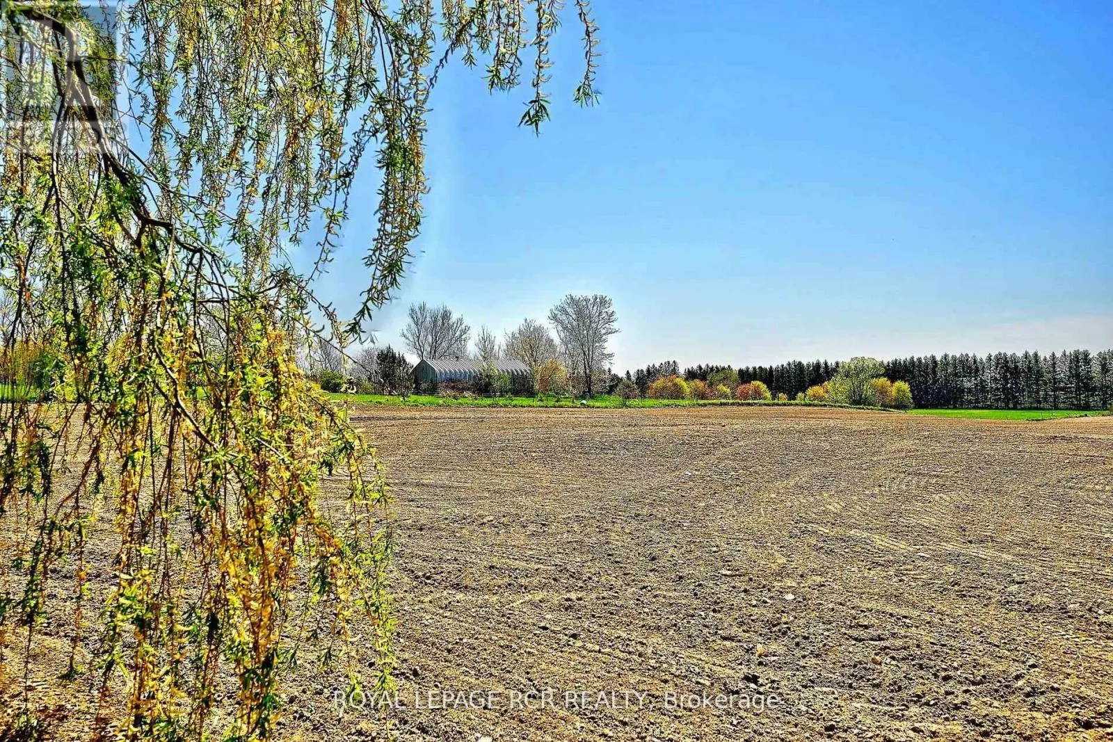 6215 17TH SIDE ROAD