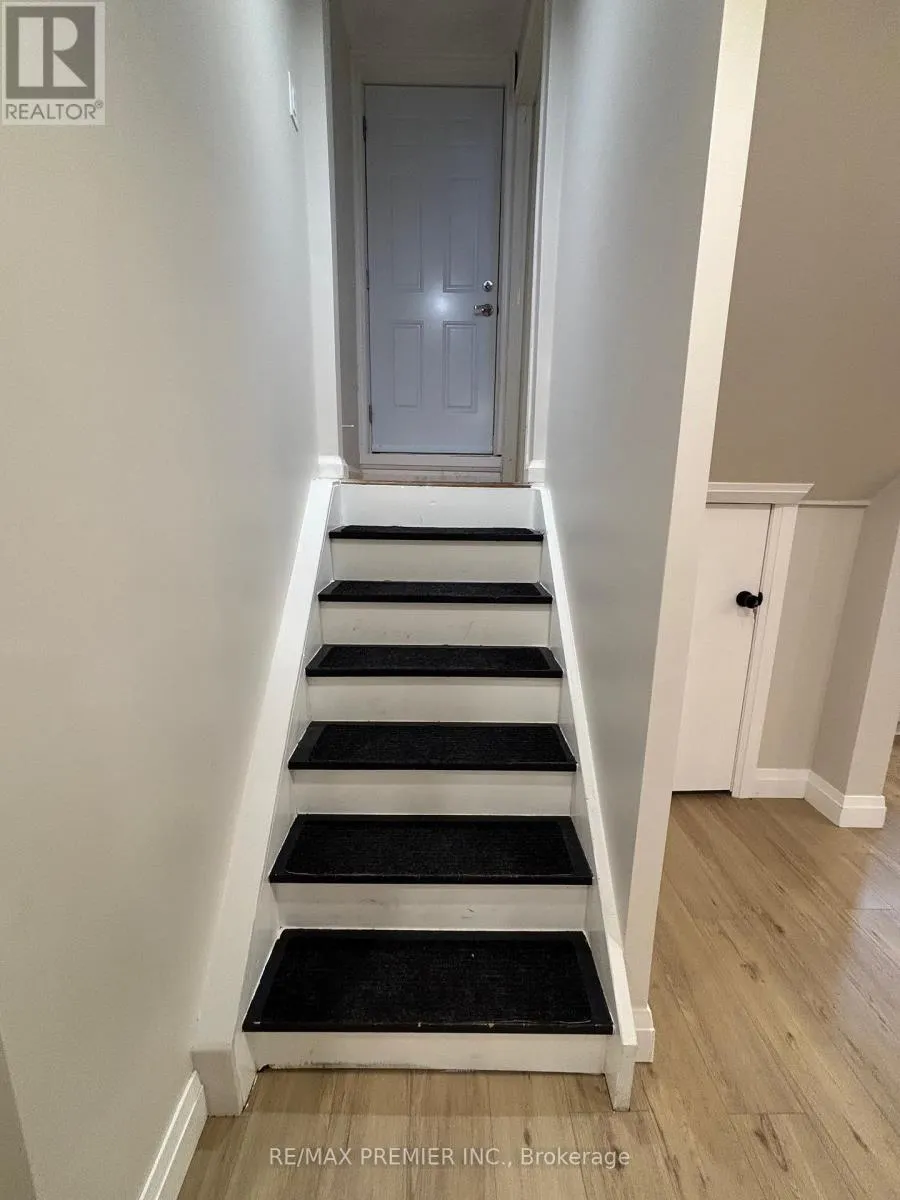 BASEMENT - 106 BOLOGNA ROAD