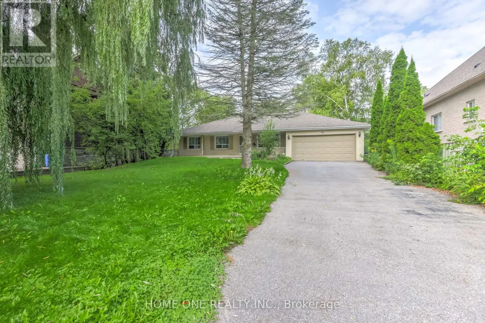 BSMT - 56 FERGUS AVENUE