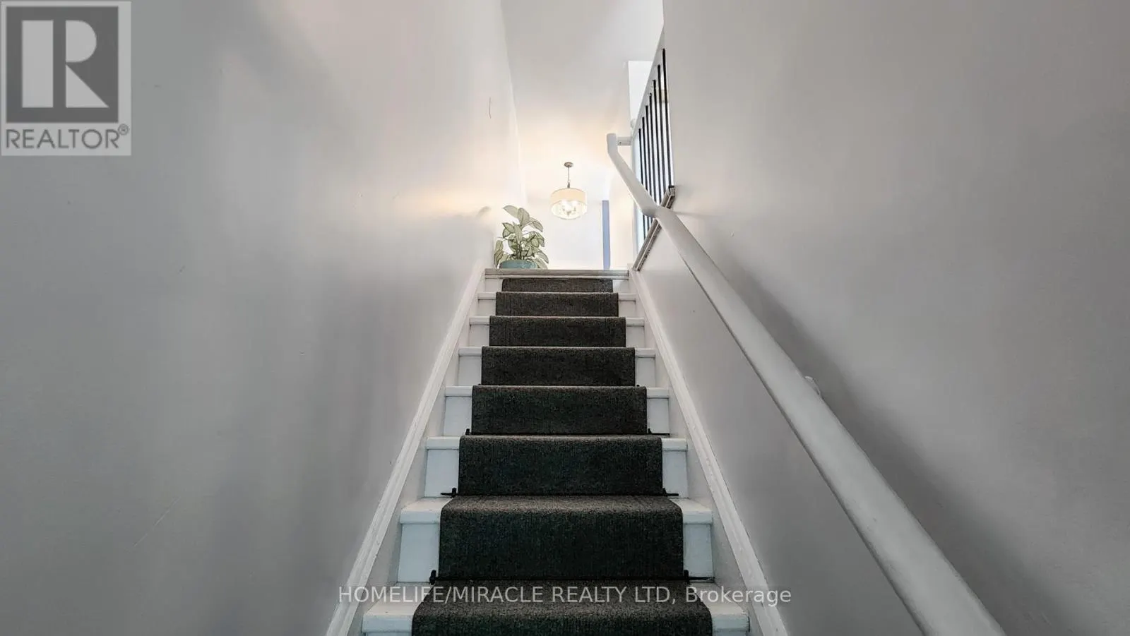 4 WILLIAM CURTIS CIRCLE