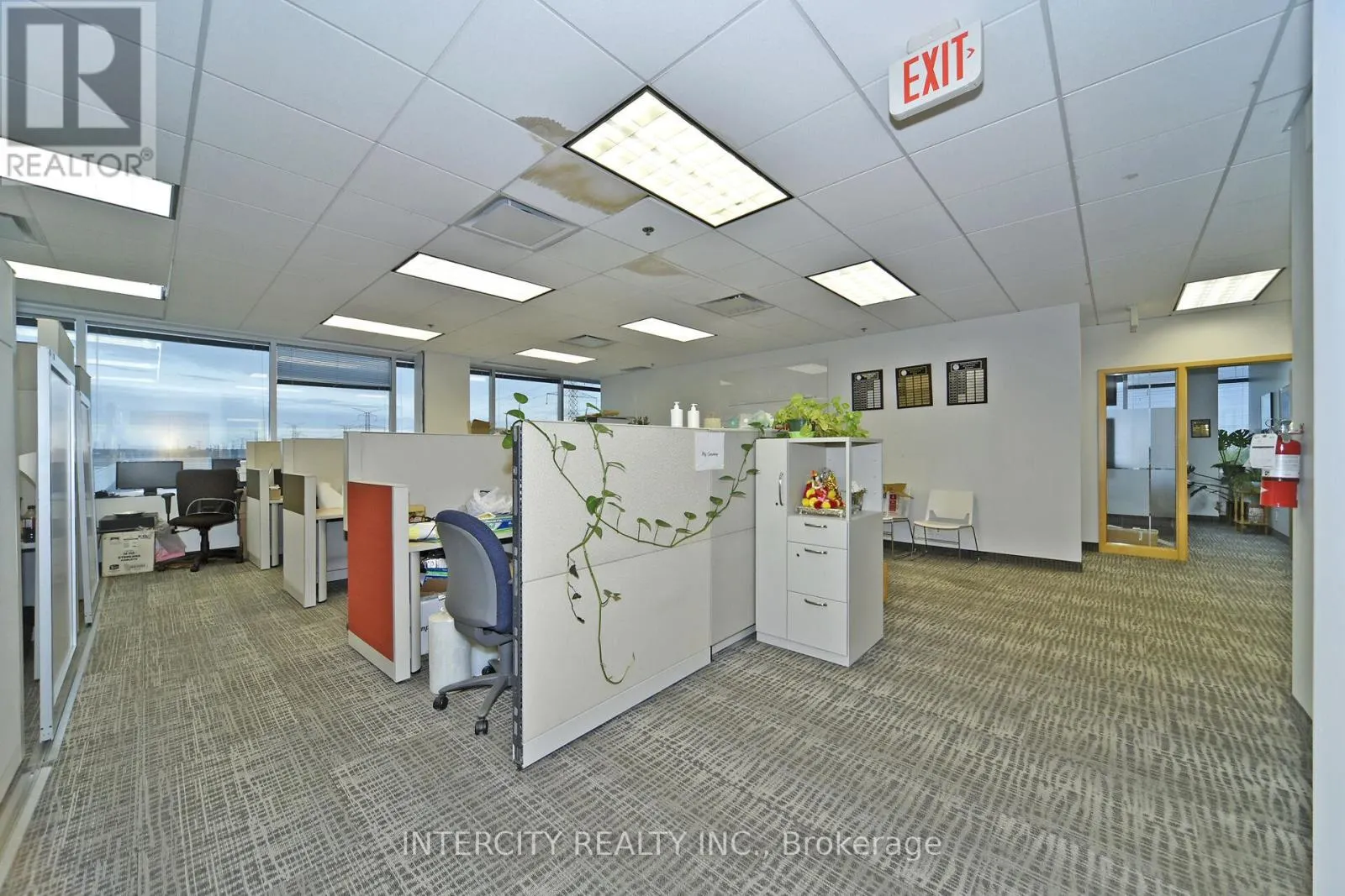 BSMT - 6 RONROSE DRIVE