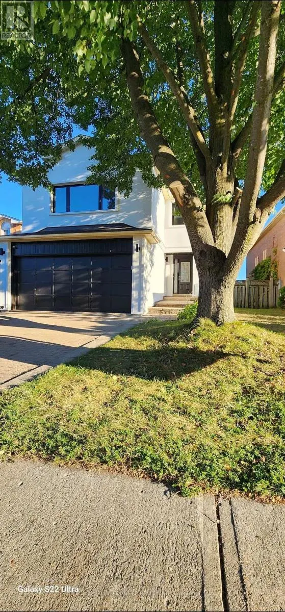 (MAIN & 2ND) - 29 JUSTUS DRIVE