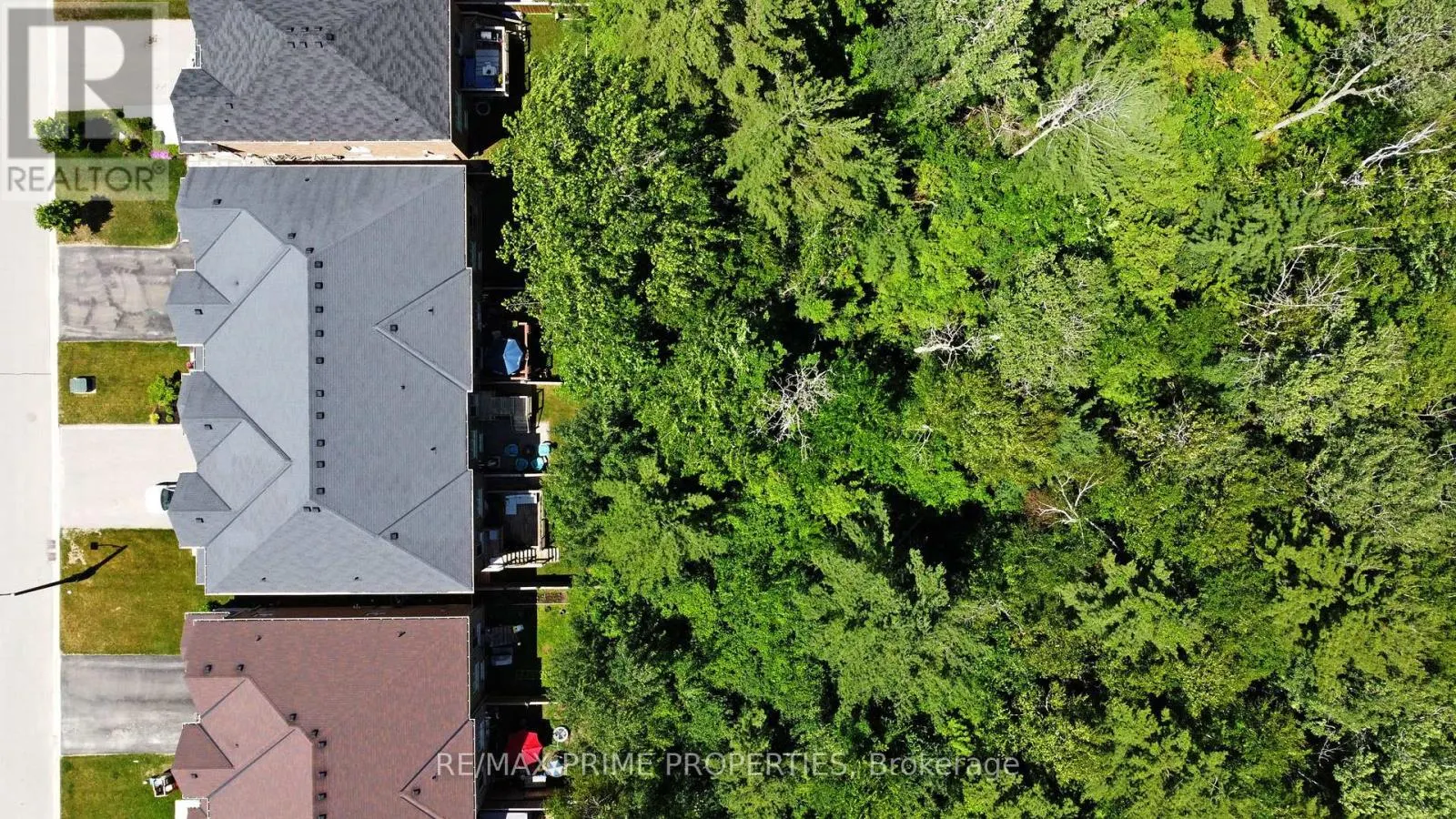 39 SCOTIA ROAD