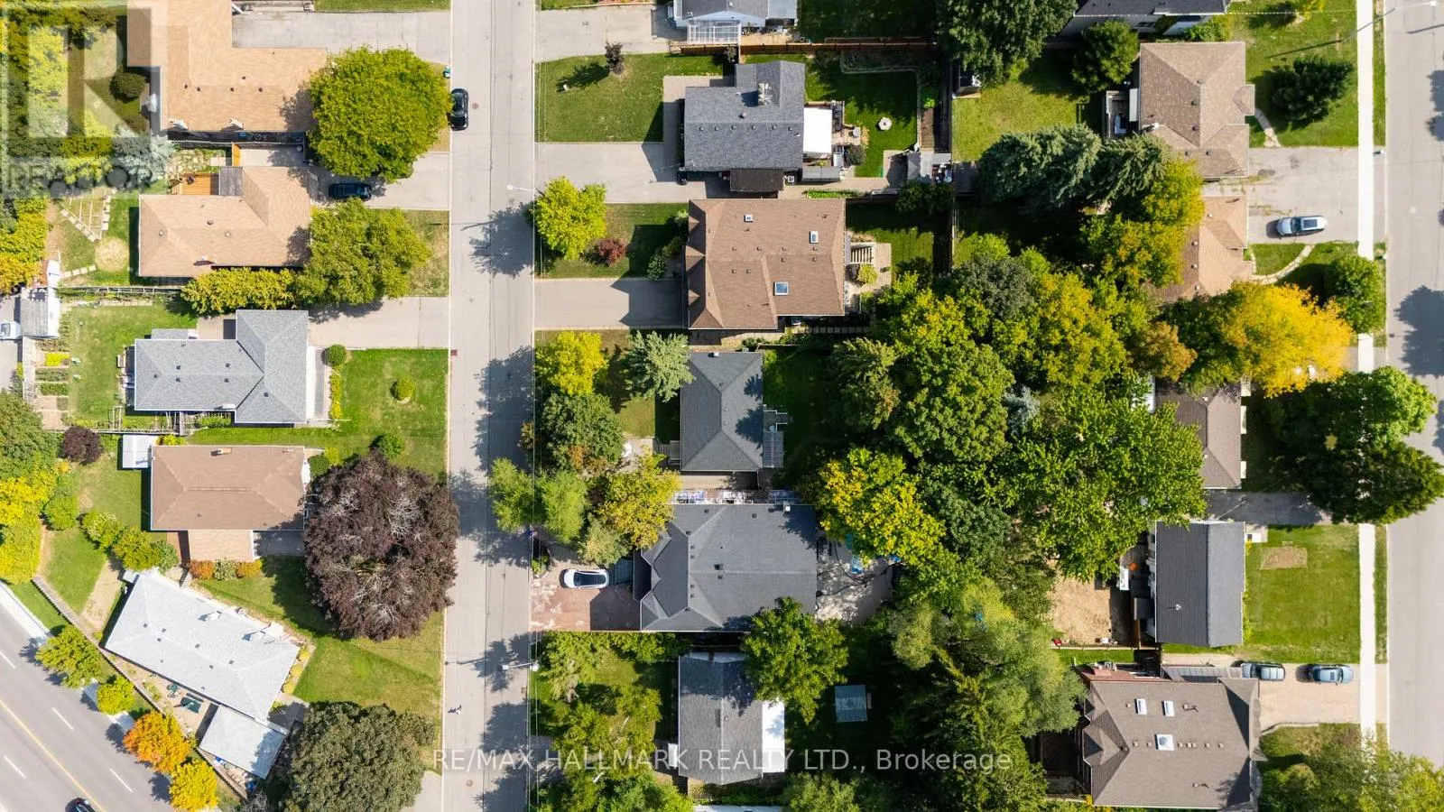 43 MEADOWVIEW AVENUE