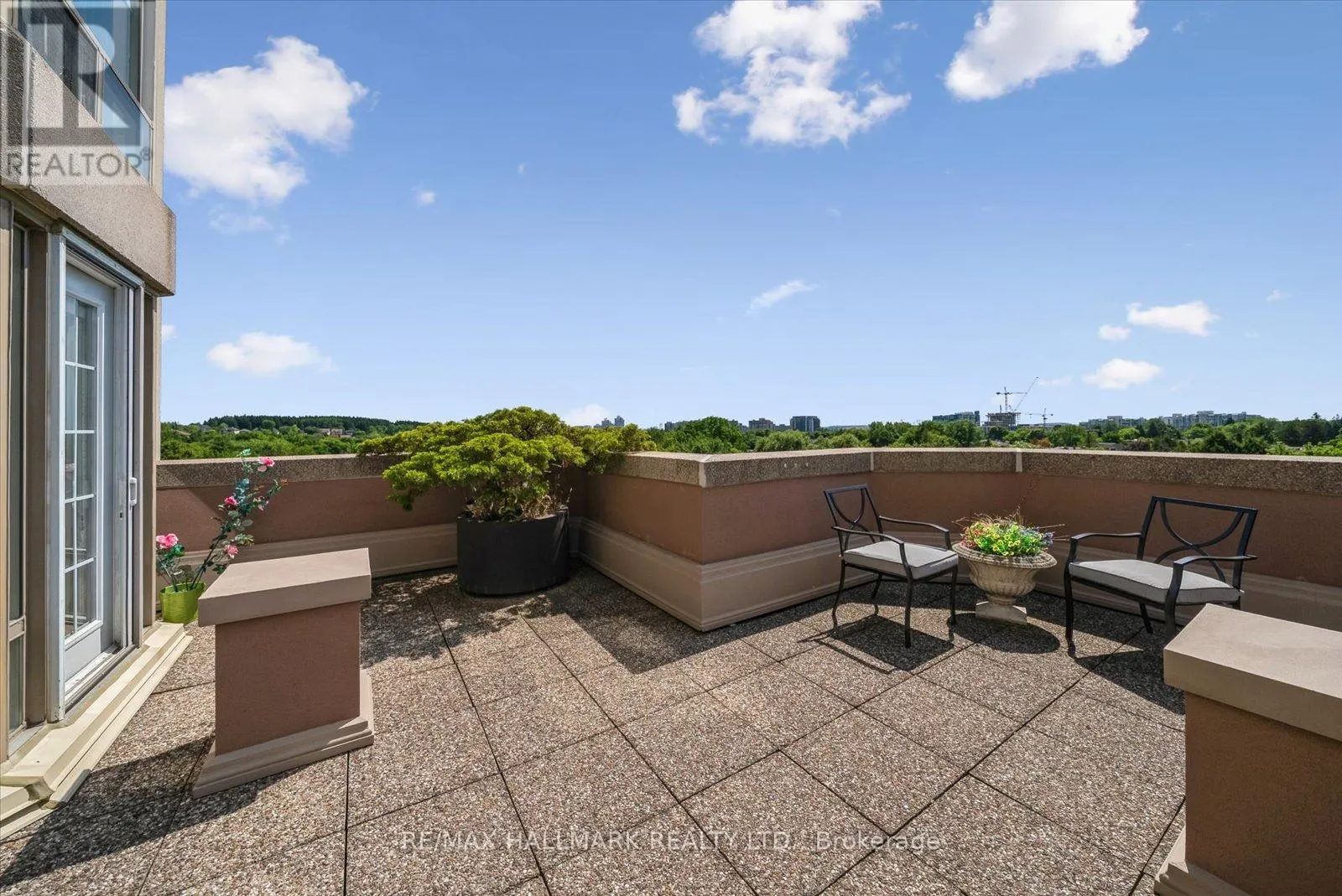 704 - 175 CEDAR AVENUE