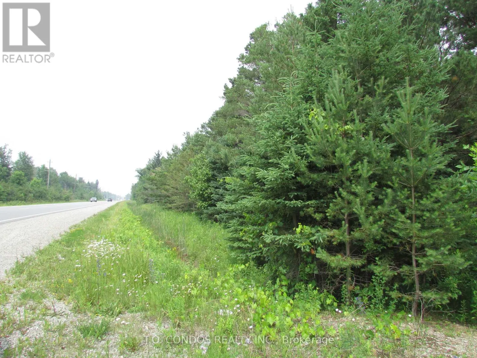 19633 48 HIGHWAY