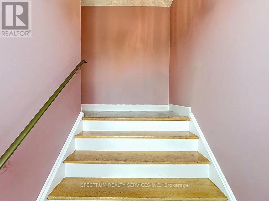20 TERRA ROAD