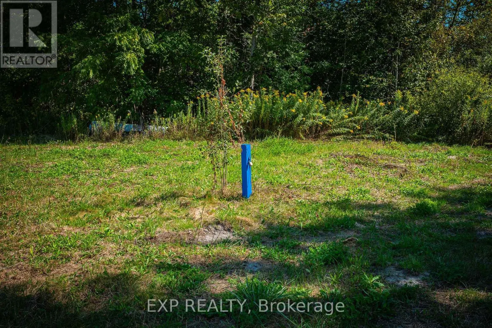 26839 CIVIC CENTRE ROAD