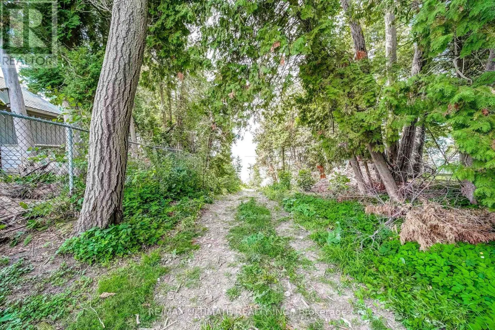 25037 MAPLE BEACH ROAD