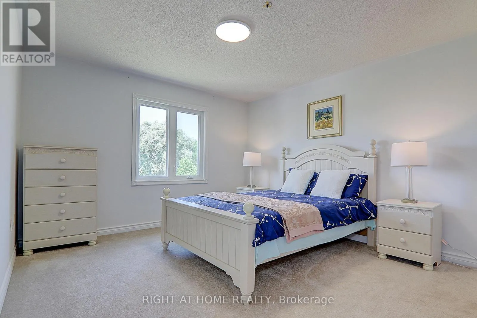 1008 MOUNT ALBERT ROAD