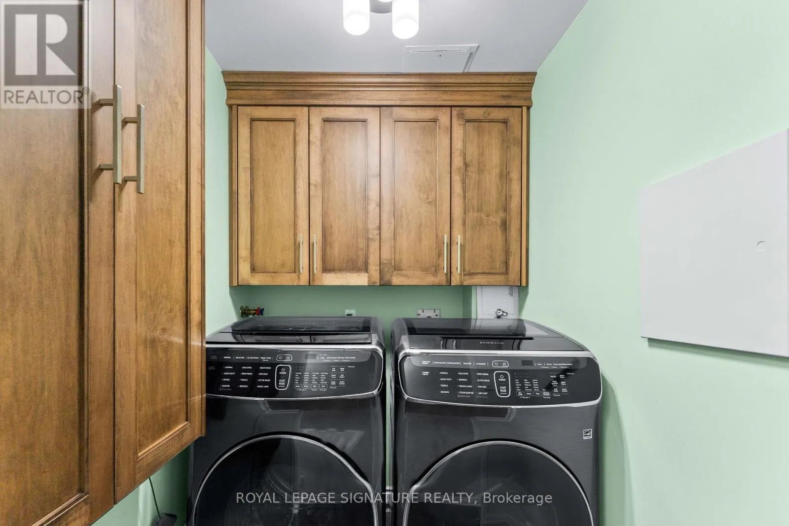 1007 - 250 DAVIS DRIVE