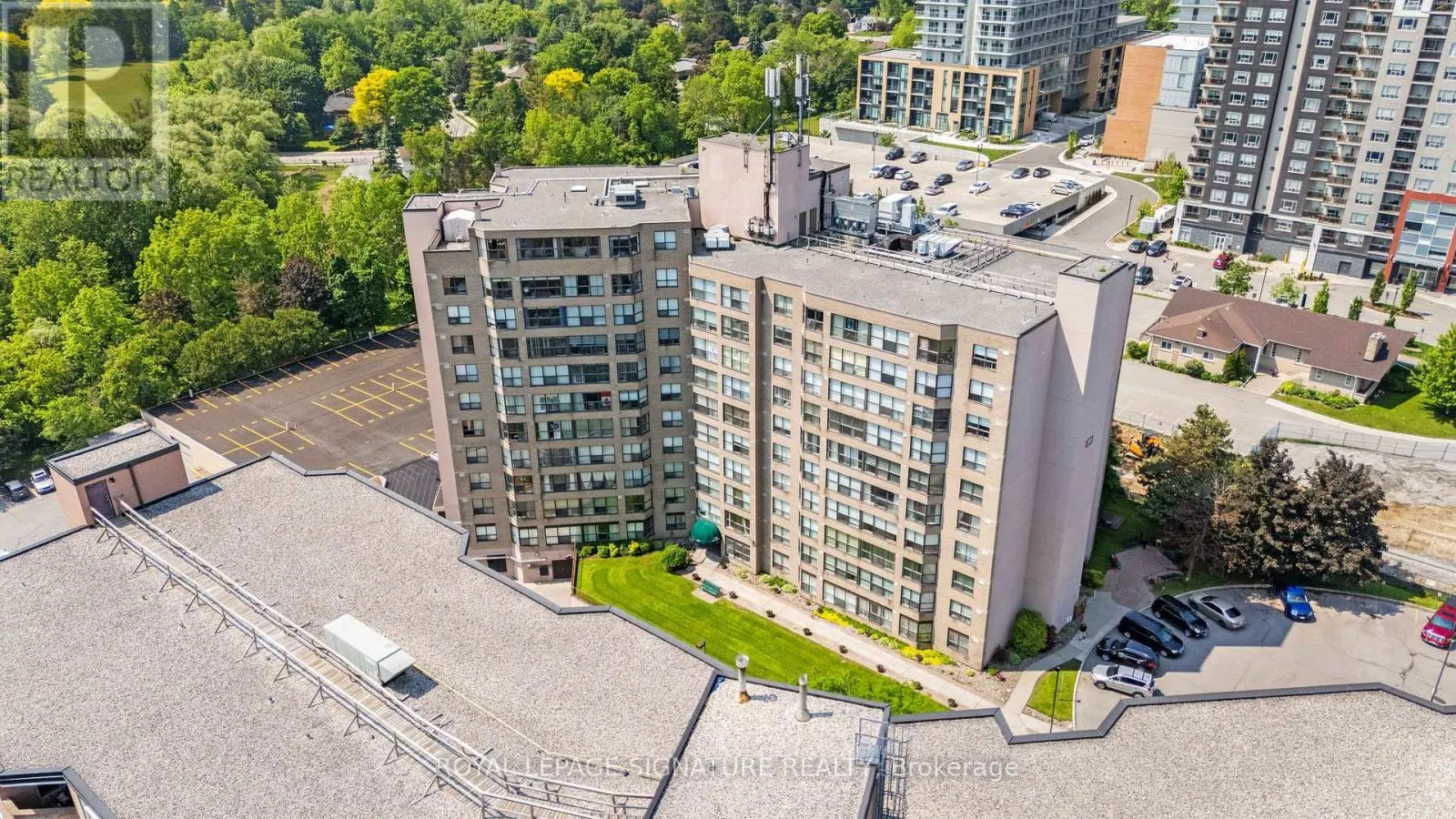 1007 - 250 DAVIS DRIVE