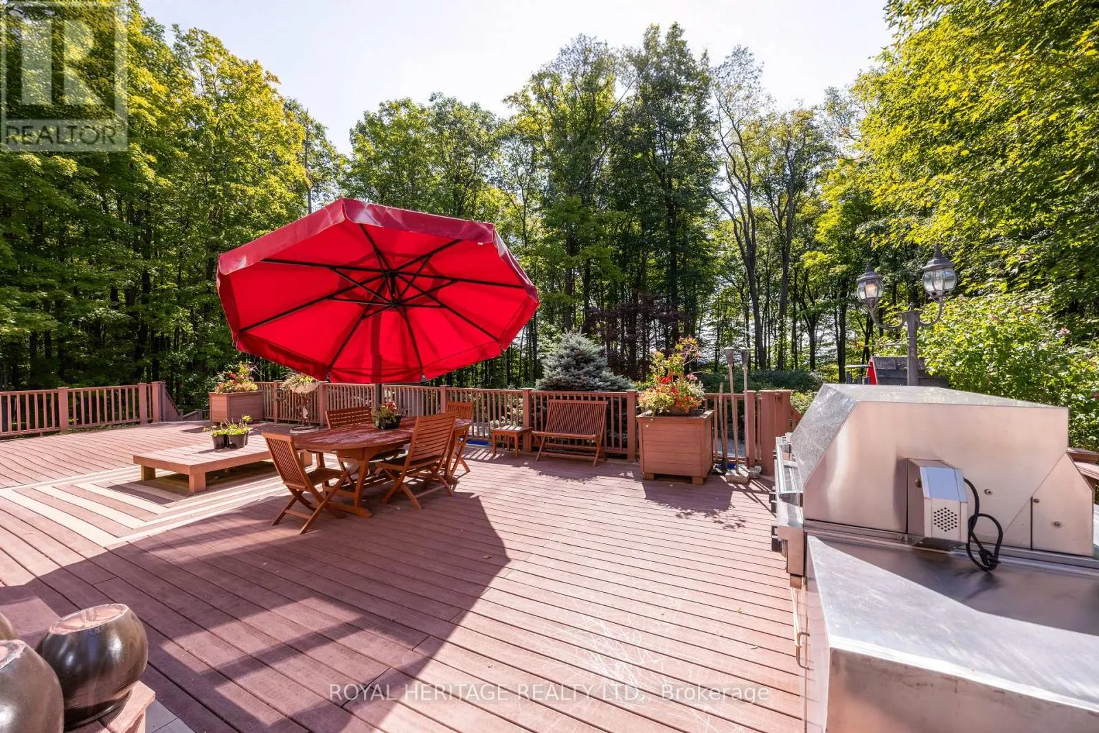 226 FOREST RIDGE ROAD