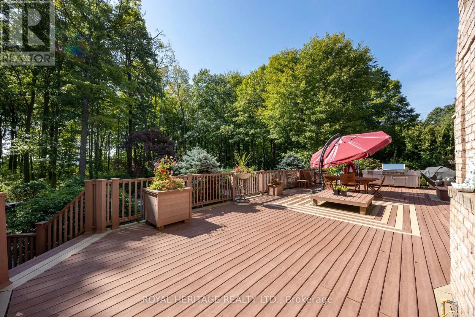 226 FOREST RIDGE ROAD