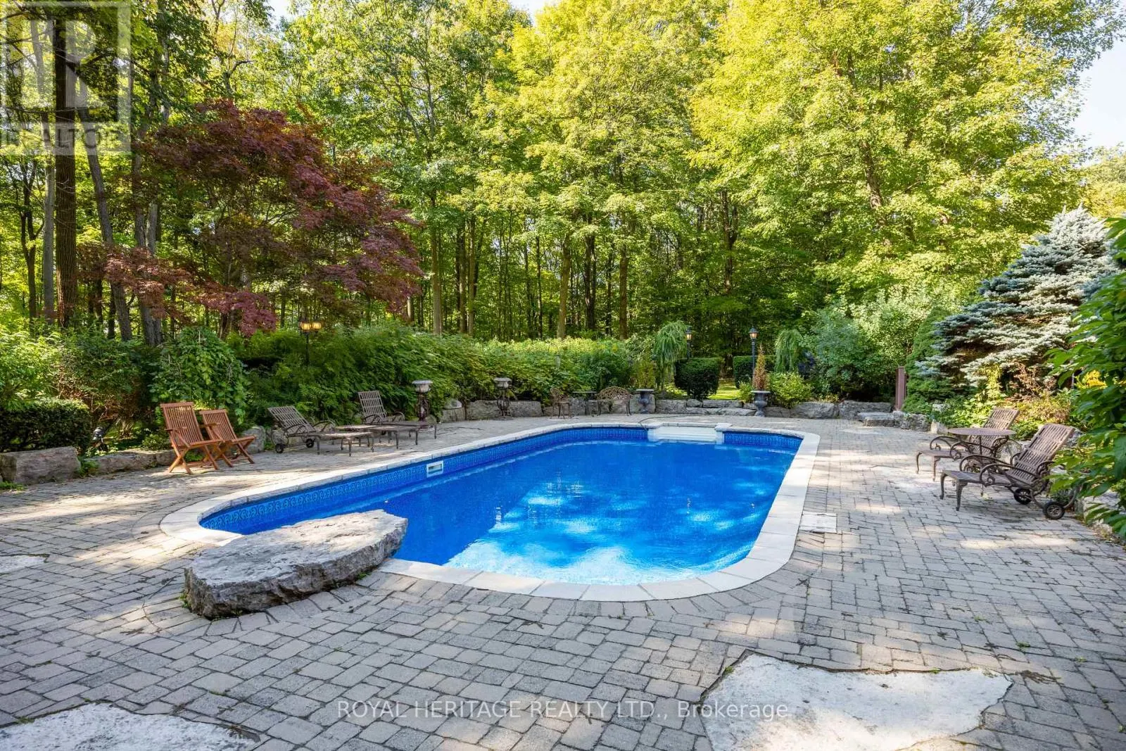 226 FOREST RIDGE ROAD
