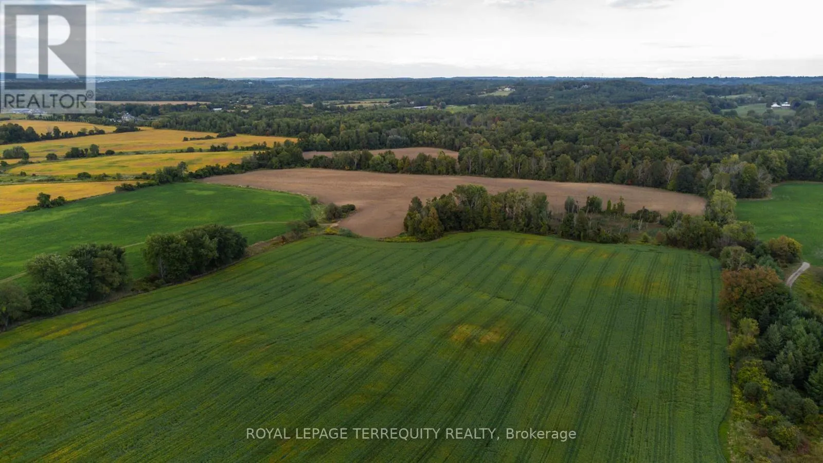15625 8TH CONCESSION ROAD