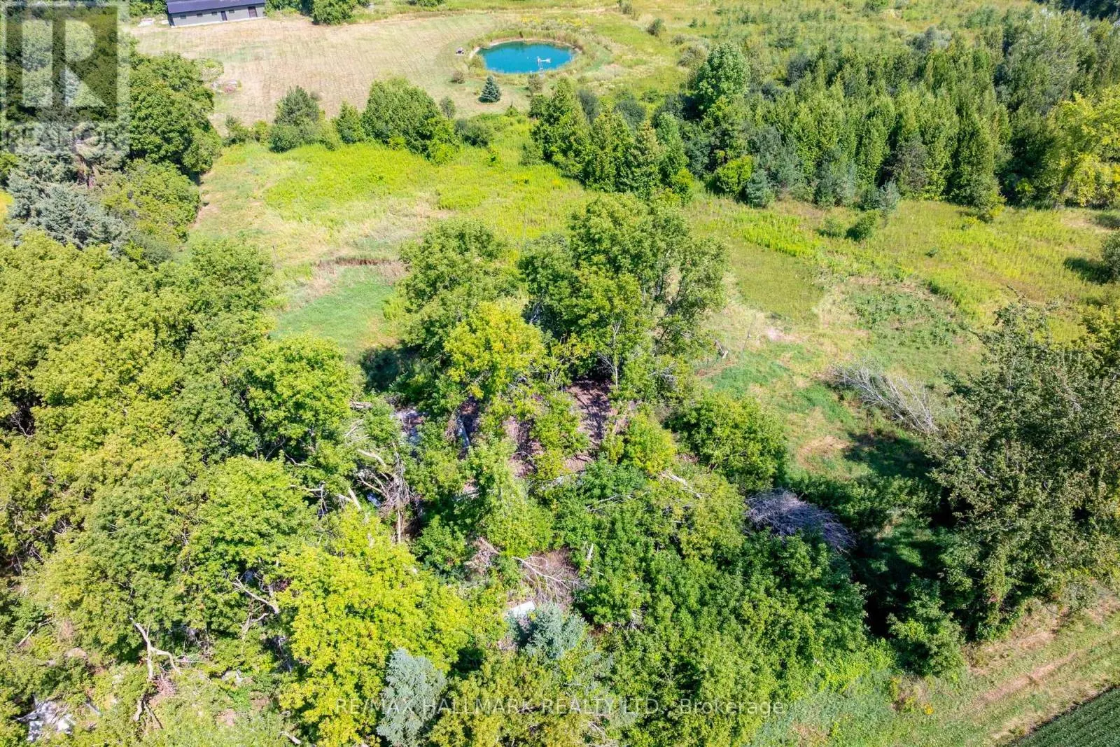 23895 MCCOWAN ROAD