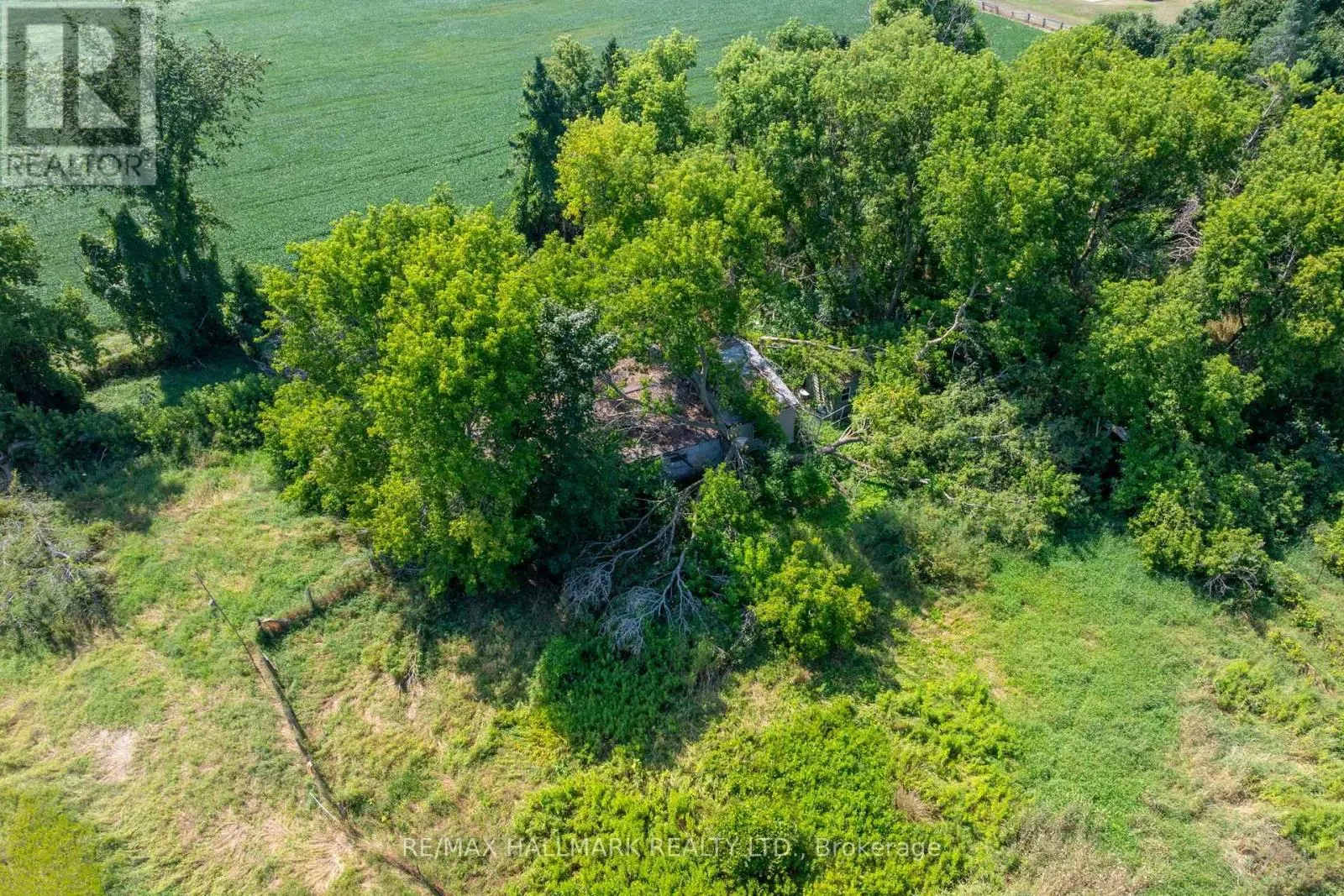 23895 MCCOWAN ROAD