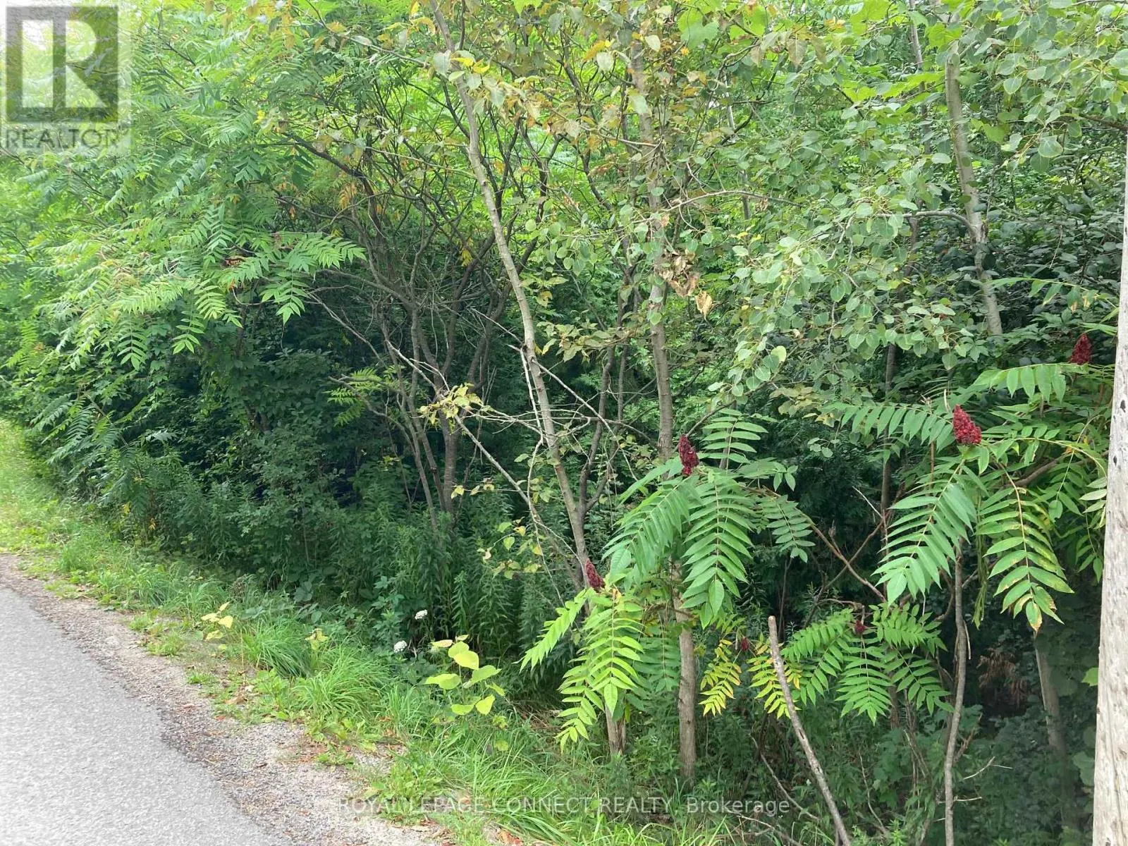 0 PINECREST ROAD