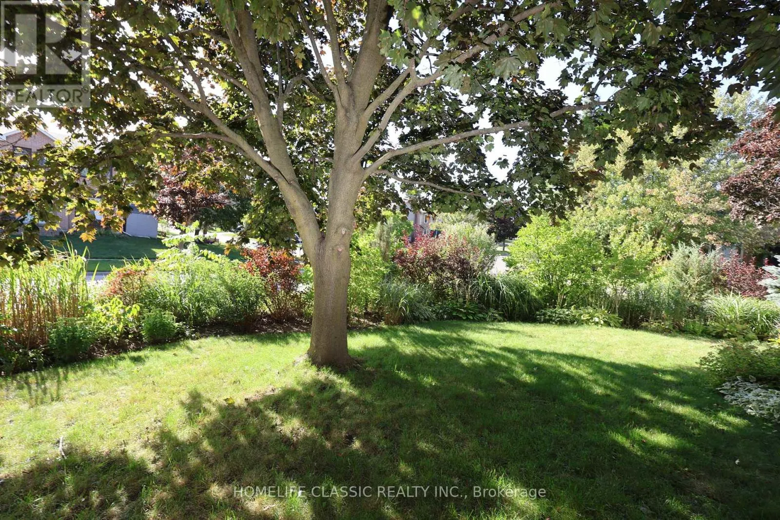 354 BEXHILL ROAD