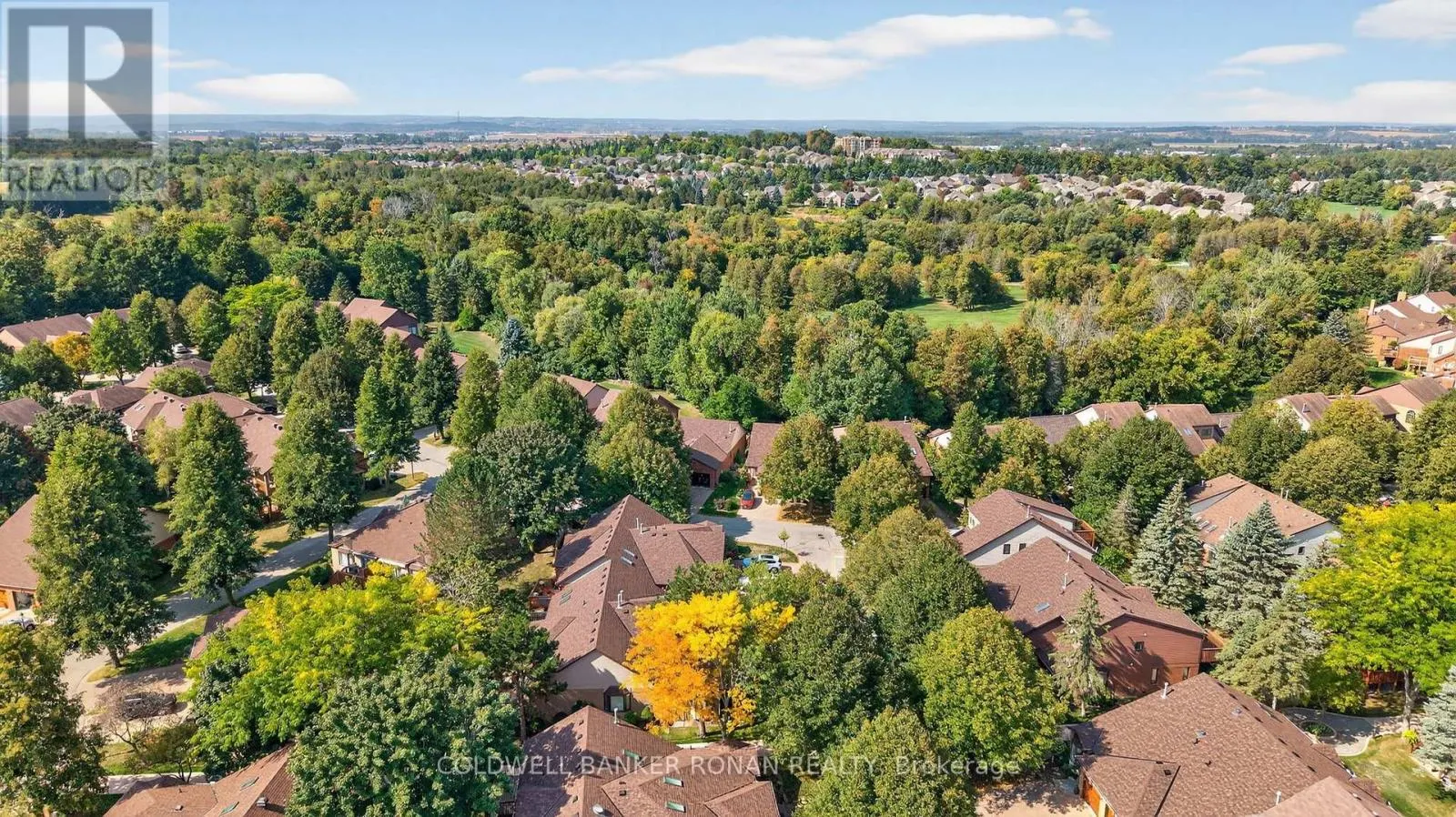 12 GLENWOOD DRIVE