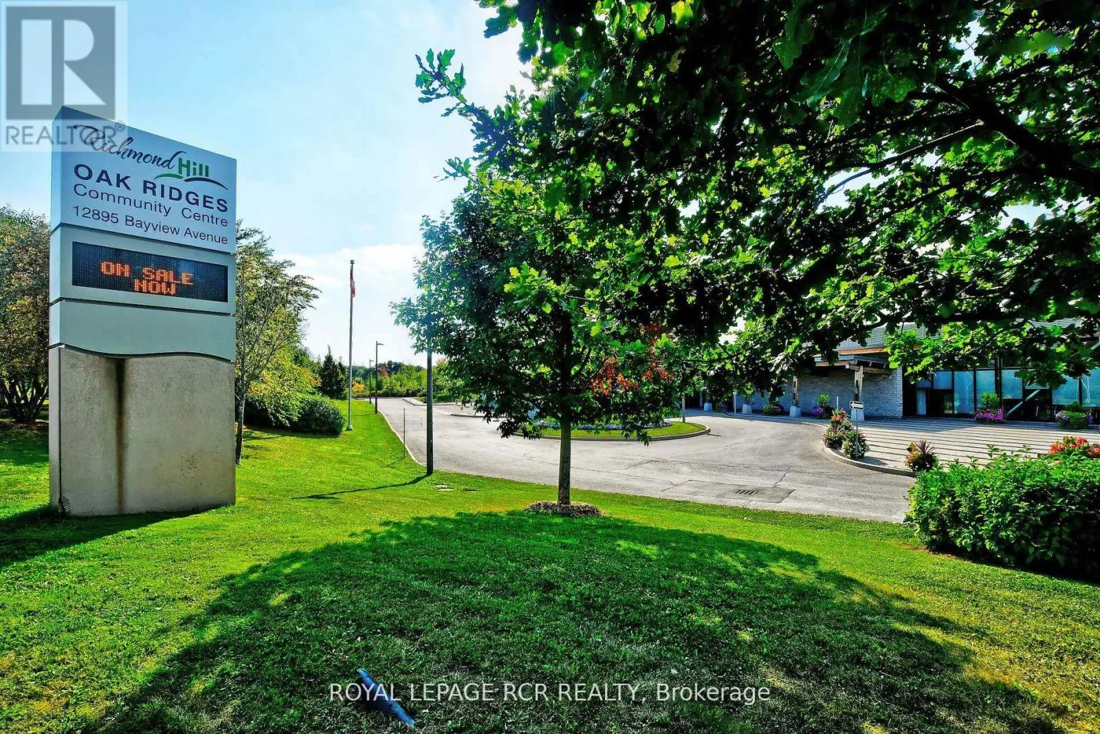65 ANCHUSA DRIVE