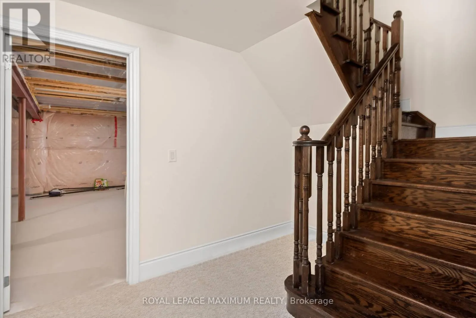 4 BLUE BEECH TRAIL