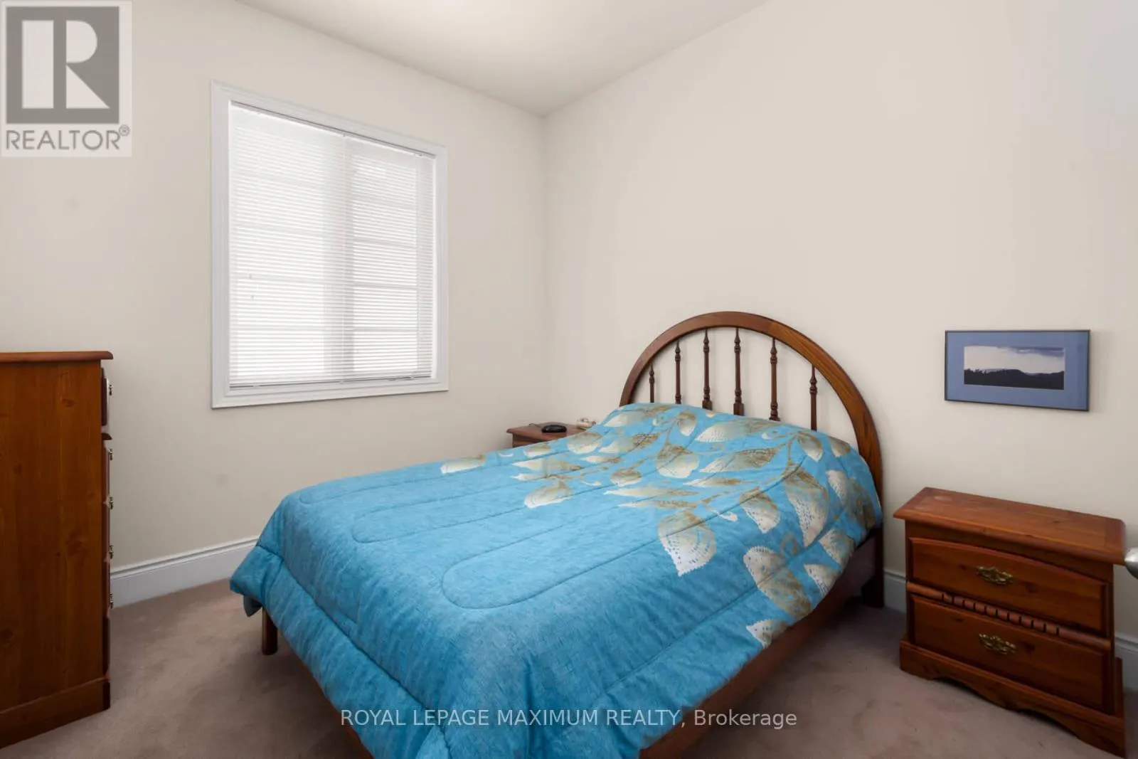 4 BLUE BEECH TRAIL