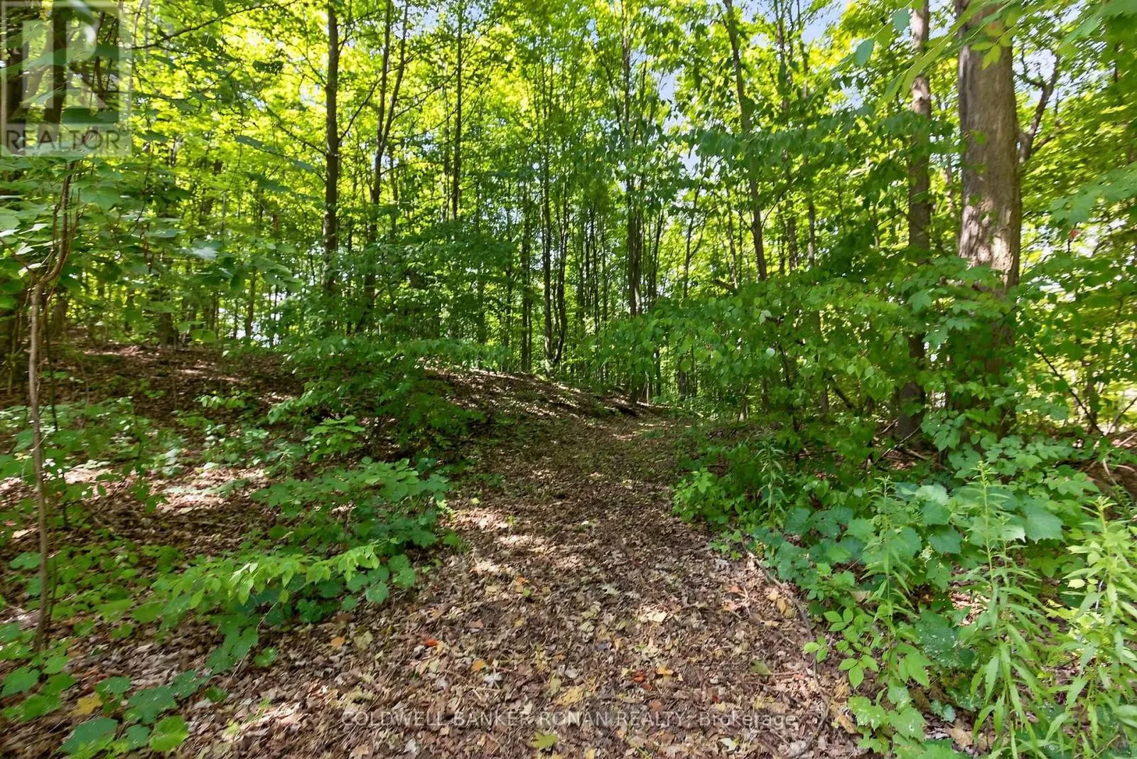 7501 5TH SIDE ROAD