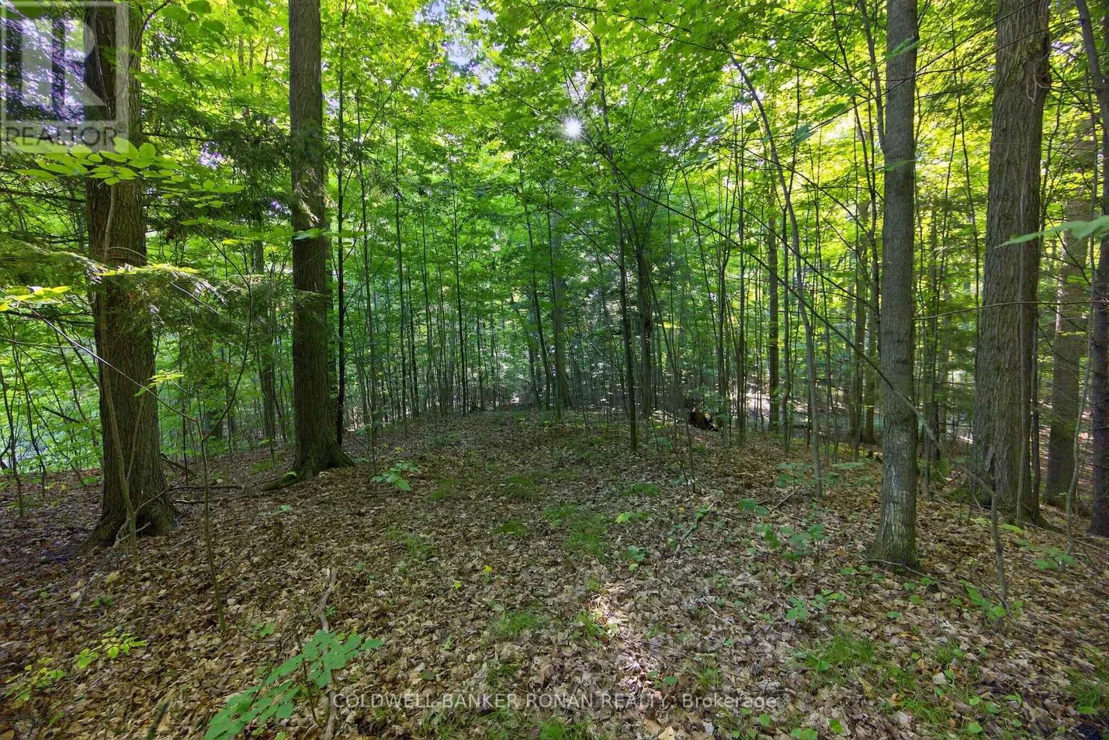 7501 5TH SIDE ROAD
