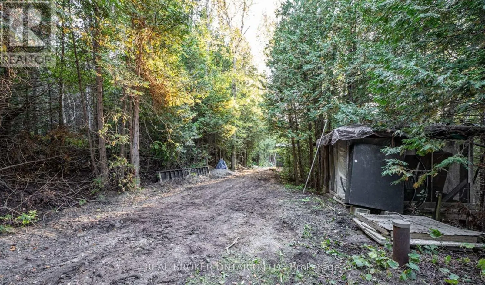 5703 10TH SIDE ROAD