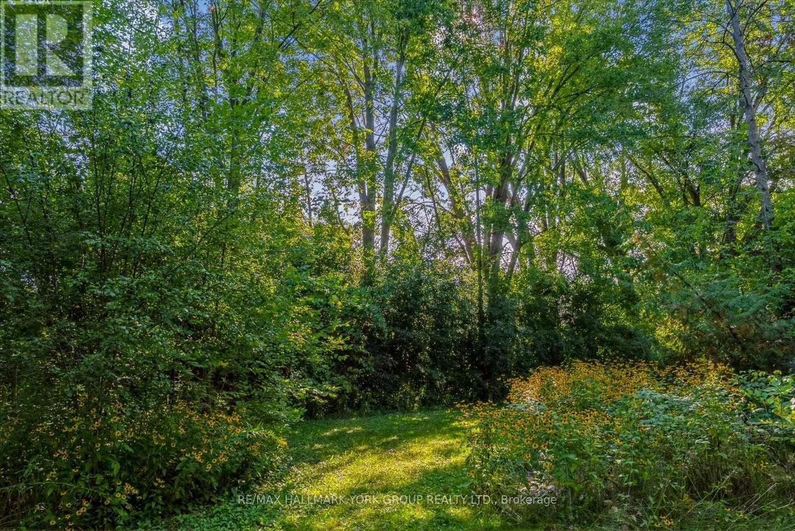 12 CEDARBROOK DRIVE
