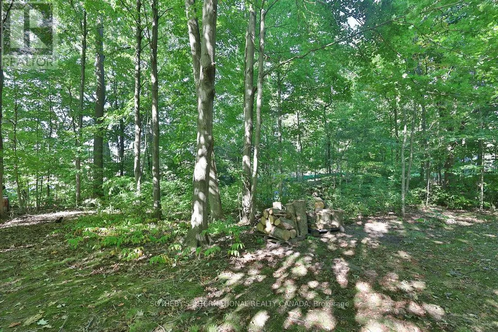 146 SYLVADENE PARKWAY W
