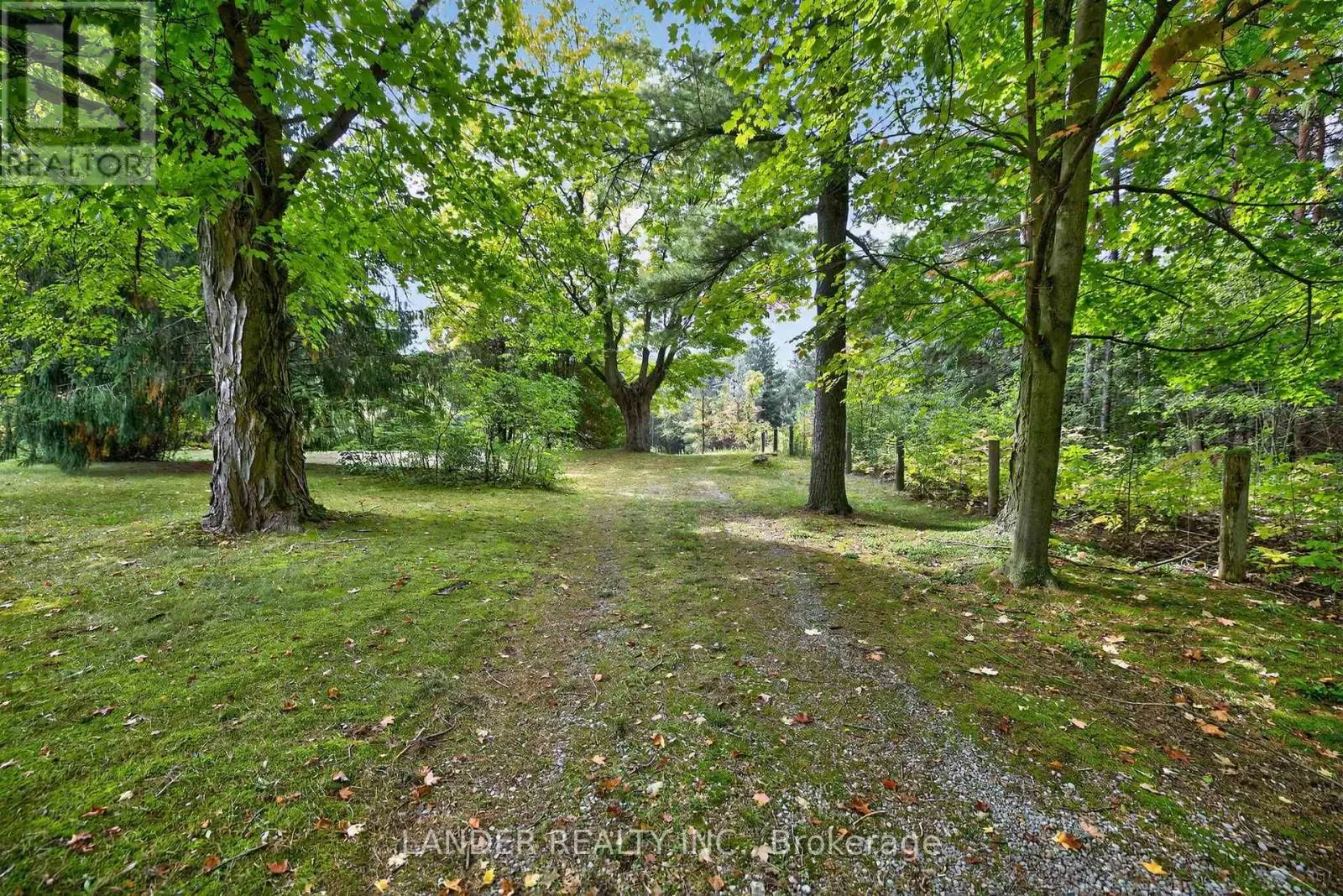 18388 MCCOWAN ROAD