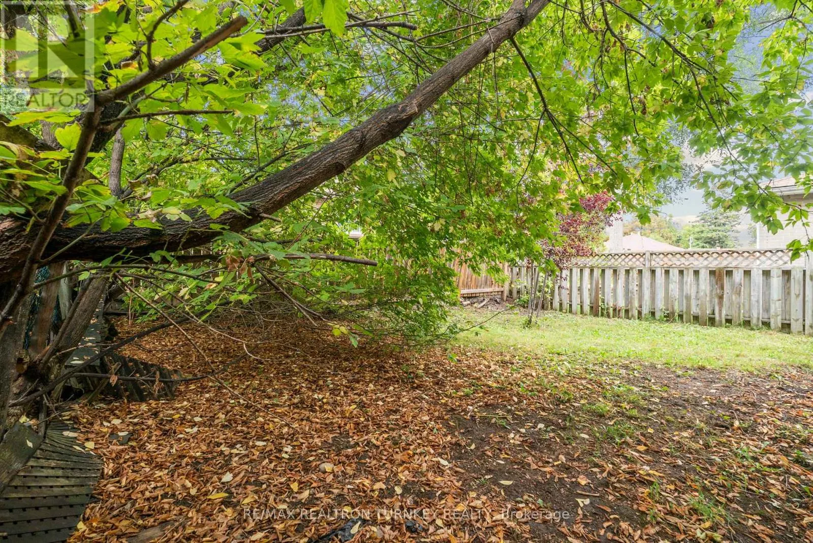 81 RYE CRESCENT
