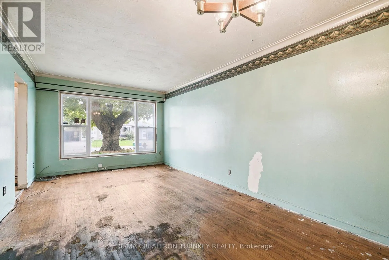 81 RYE CRESCENT