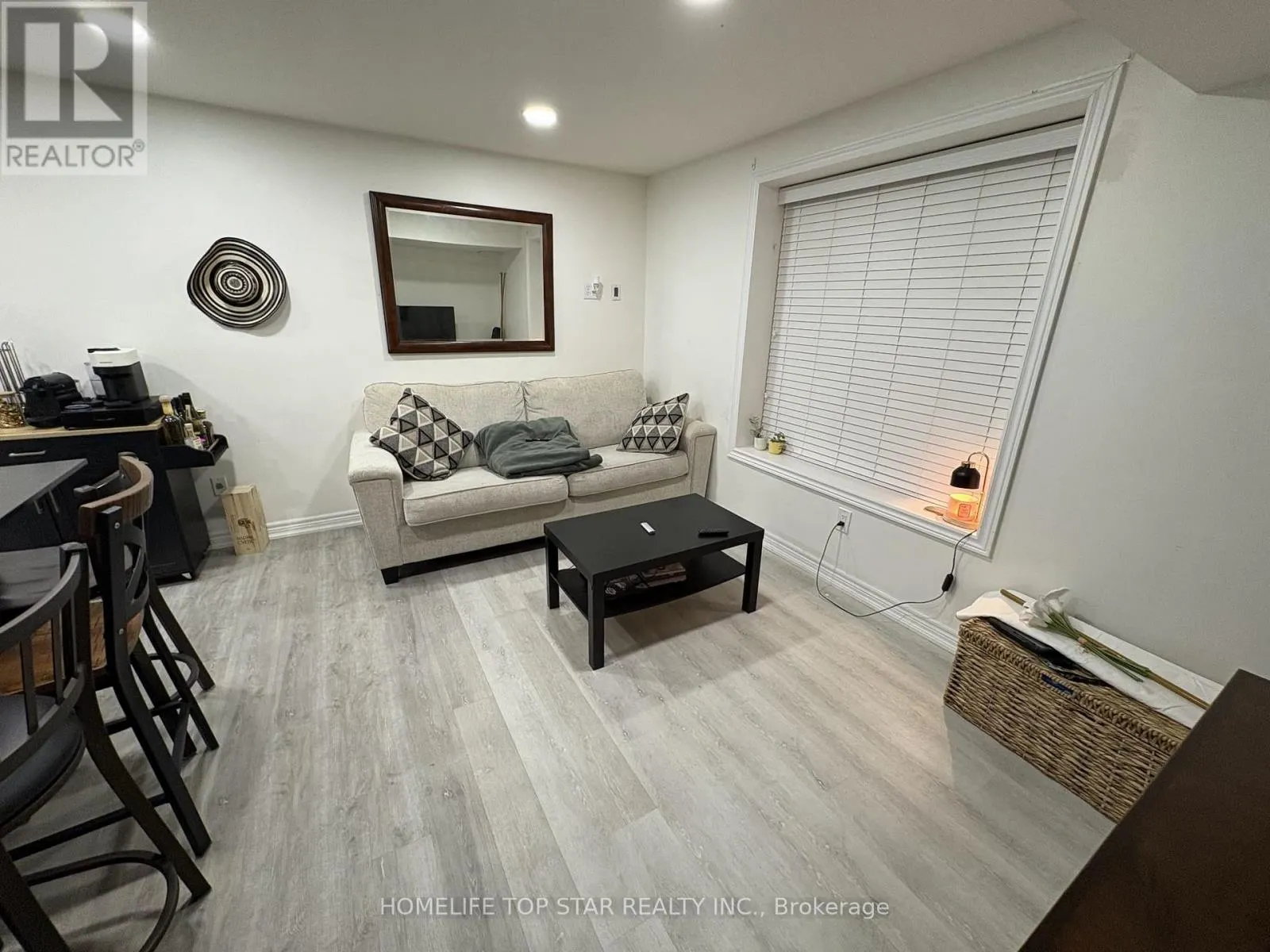 BASEMENT - 47 COOPER CREEK COURT W