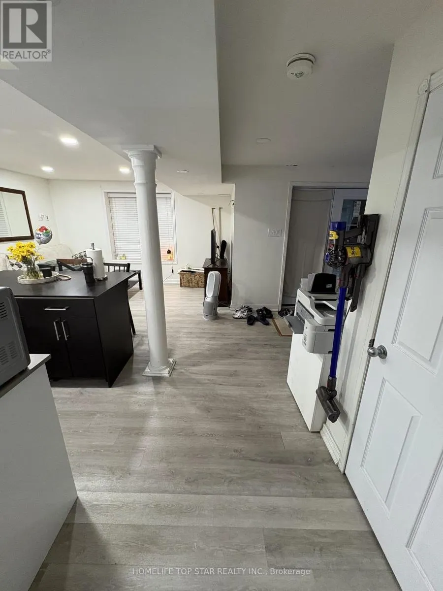 BASEMENT - 47 COOPER CREEK COURT W
