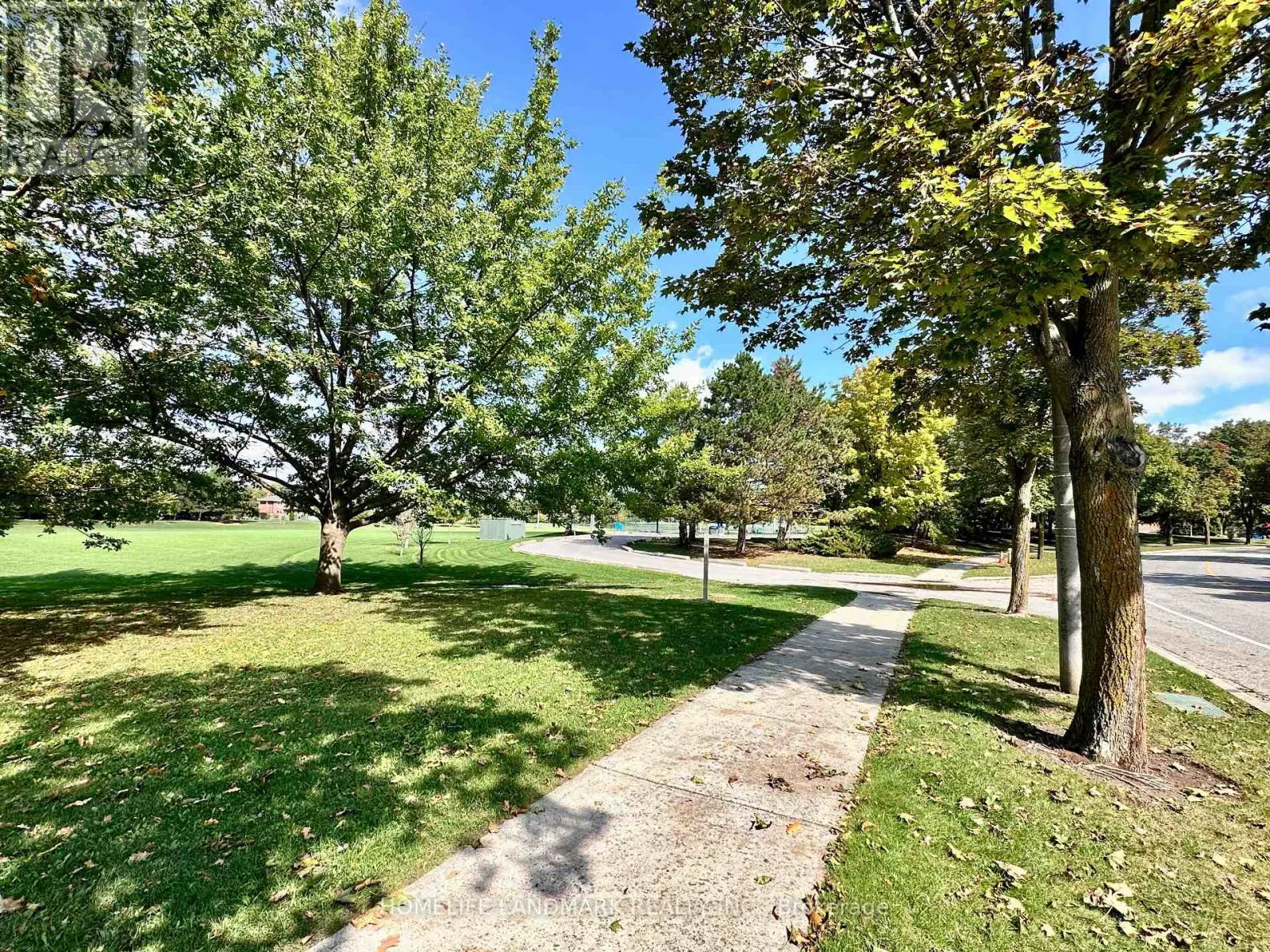 3ROOMS - 257 FINCHAM AVENUE
