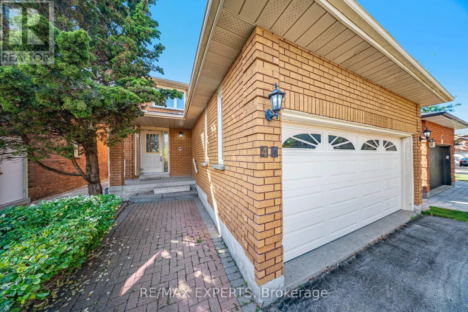 47 VELVET CRESCENT