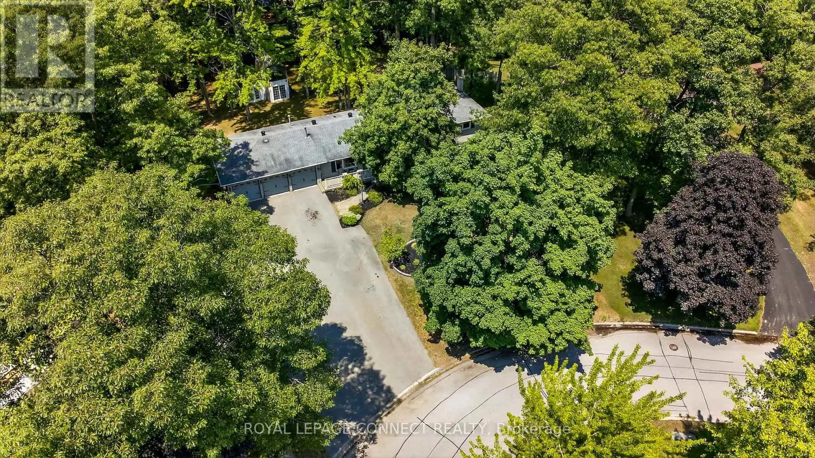 10 DONALDSON ROAD
