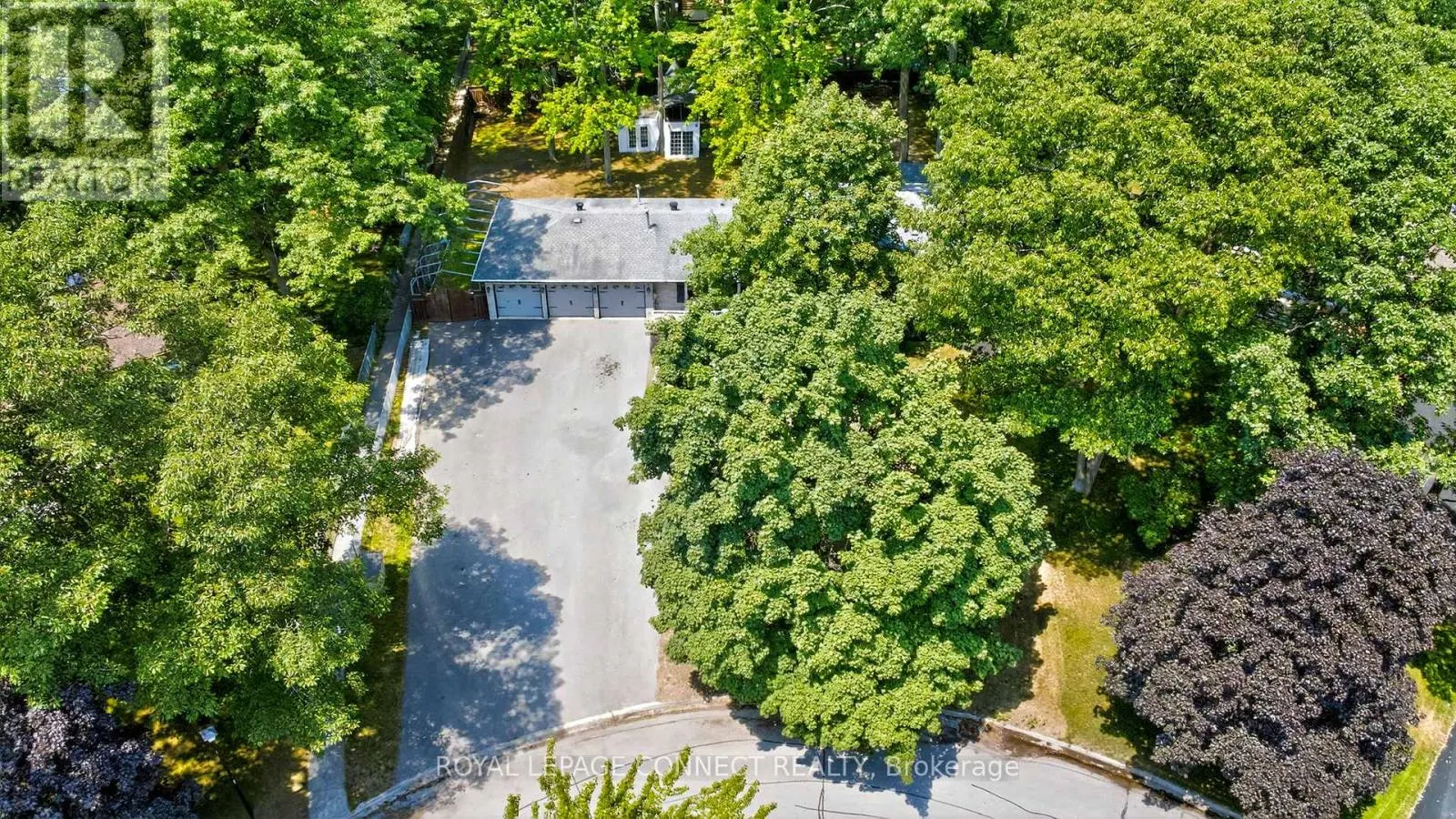 10 DONALDSON ROAD