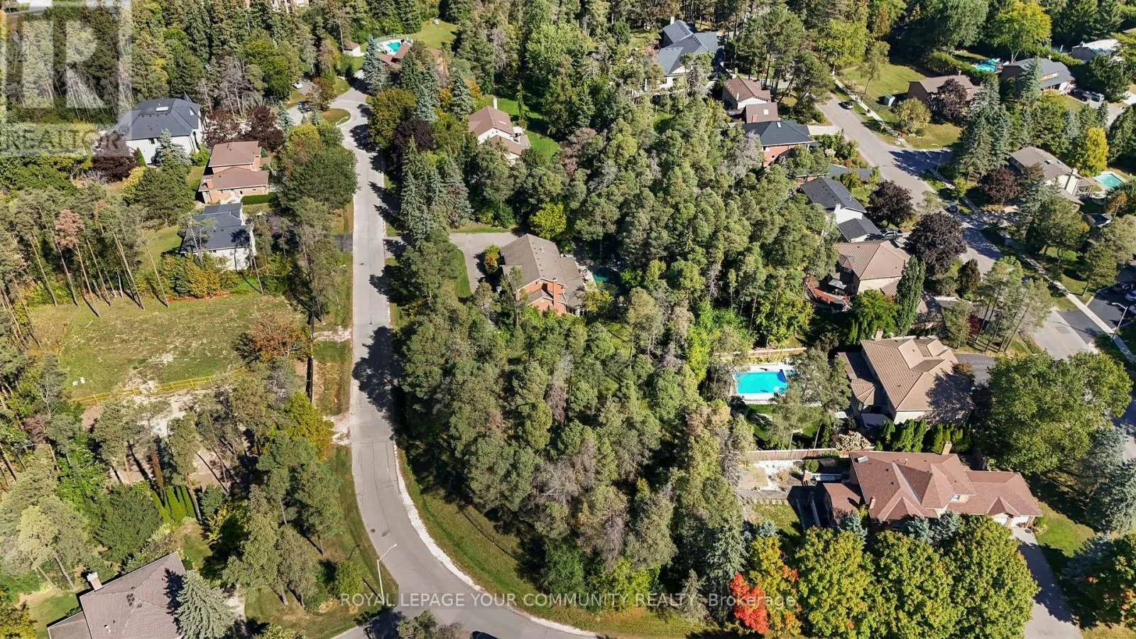 52 BEAUFORT HILLS ROAD