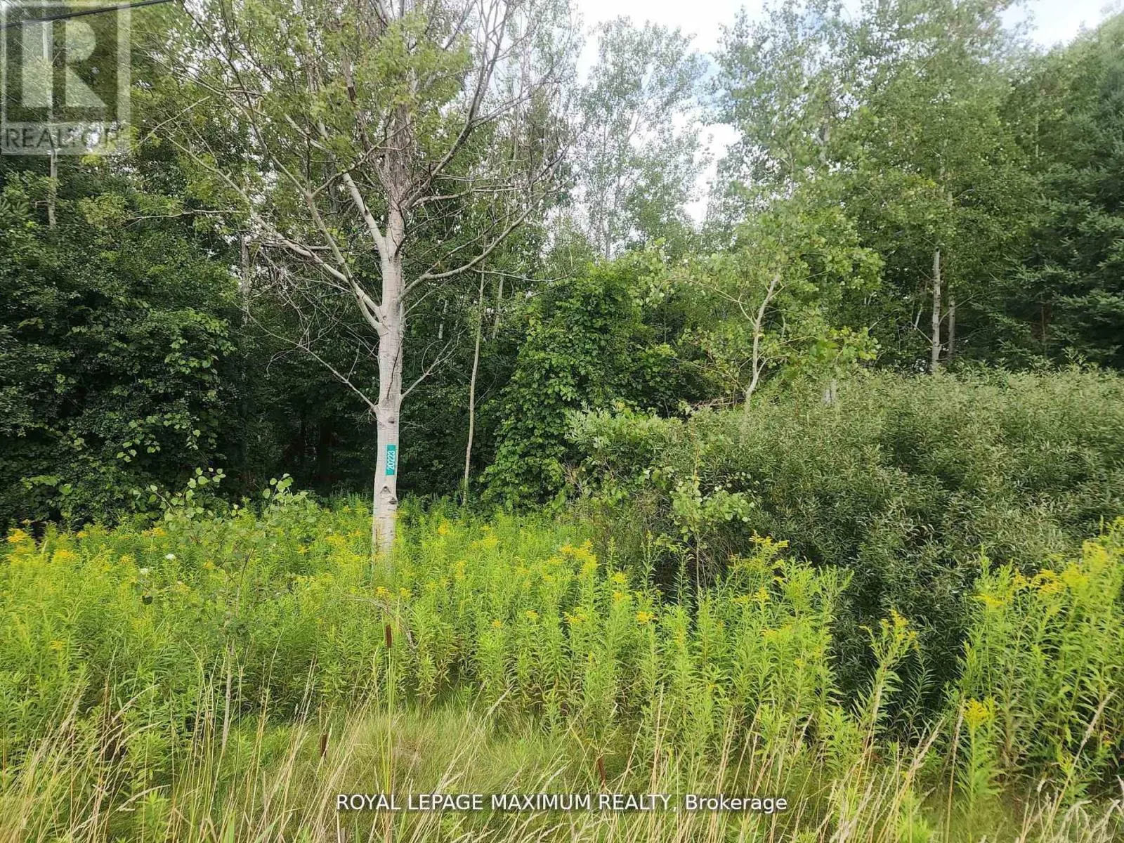 20223 BATHURST STREET