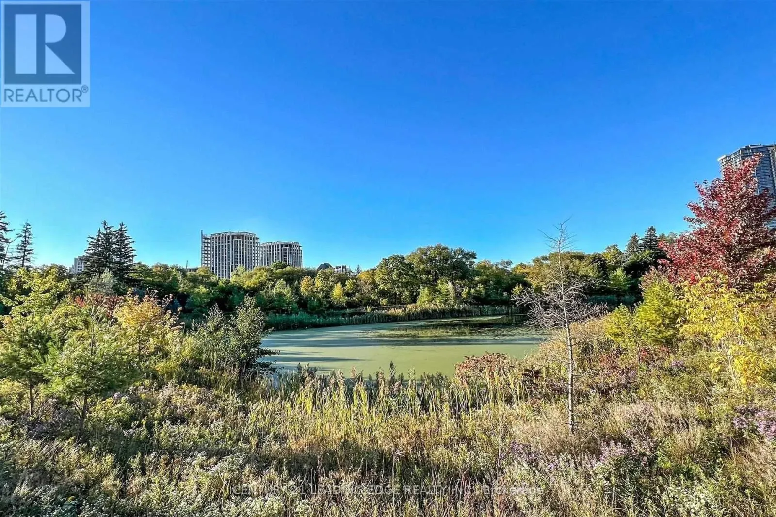 514 - 18 ROUGE VALLEY DRIVE W
