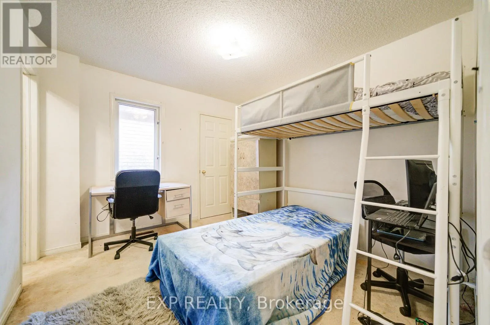 163 SASSAFRAS CIRCLE